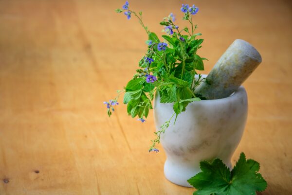 Pot et pilon en marbre avec des petites plantes et fleurs